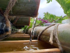 LINE_ALBUM_220719_2