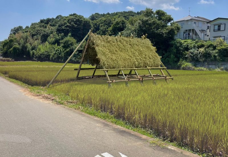 B班_コラージュパース_250524