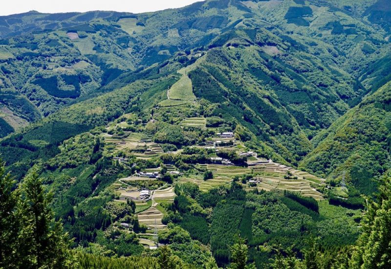 高千穂_棚田